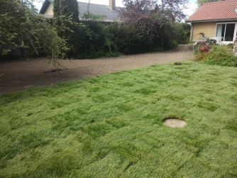 Anlægning af græsplæne i Køge