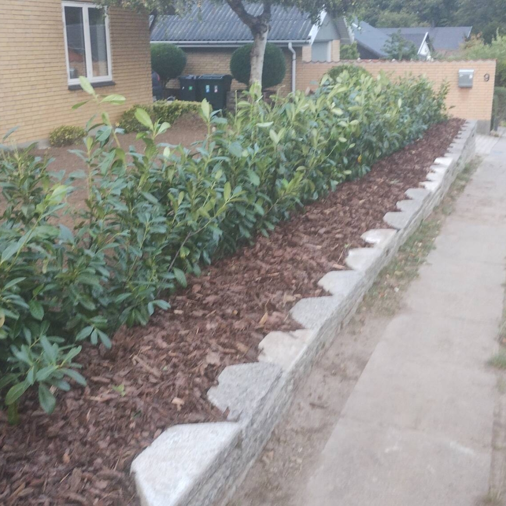 opbygning af støttemur og hæk