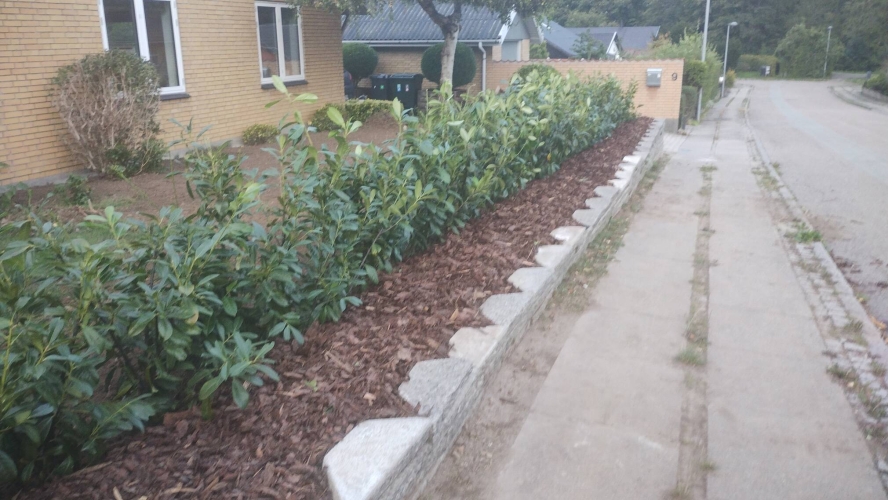 opbygning af støttemur og hæk